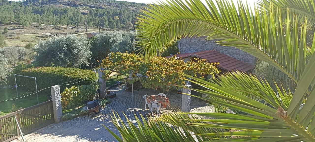 Quinta do Mineiro-Serra da Estrela Matanca Exterior foto