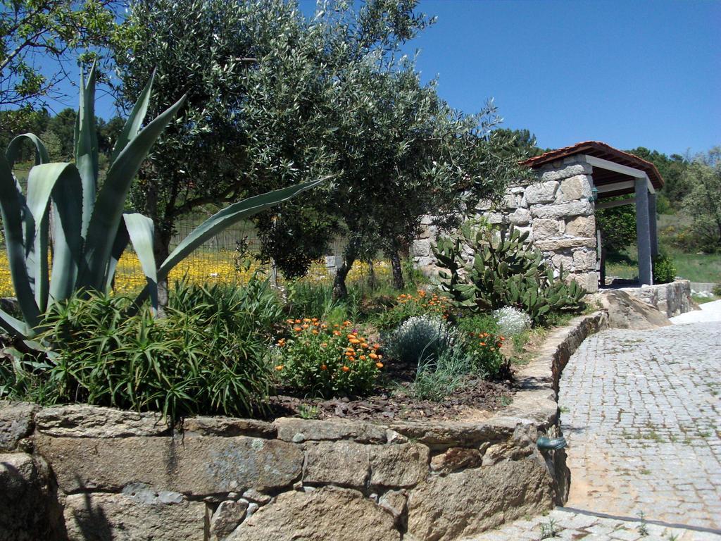 Quinta do Mineiro-Serra da Estrela Matanca Quarto foto