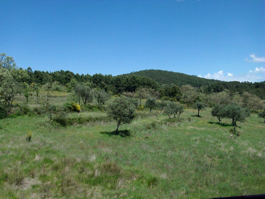 Quinta do Mineiro-Serra da Estrela Matanca Quarto foto